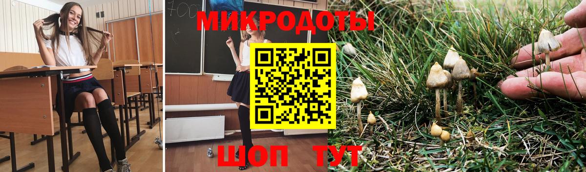 Псилоцибиновые грибы Psilocybe Стерлитамак